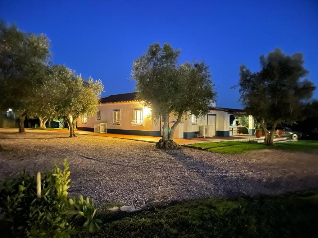 Casa Das Oliveiras Avis Exterior photo
