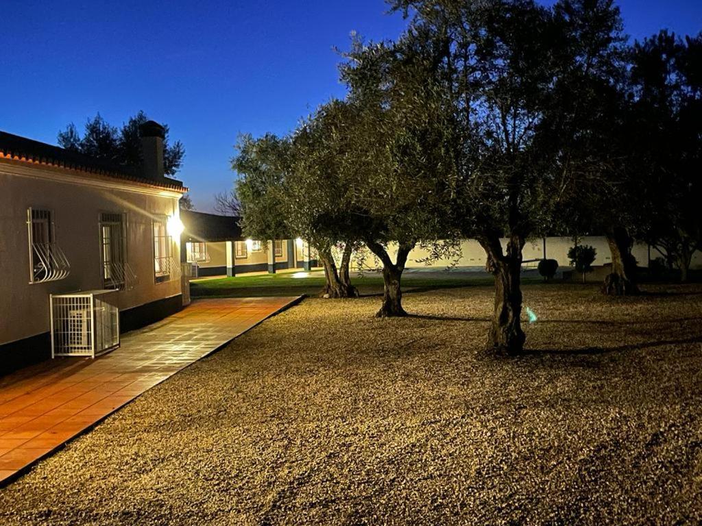 Casa Das Oliveiras Avis Exterior photo