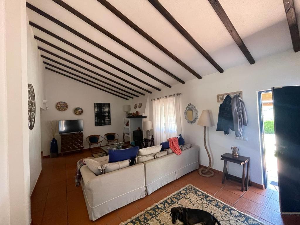 Casa Das Oliveiras Avis Exterior photo
